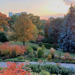 High Park