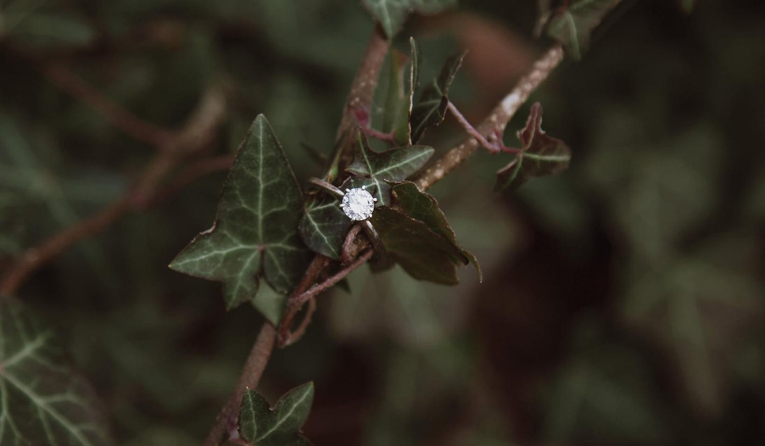 The Wedding Website of Jordyn Goldberg and Nicholas Jordan