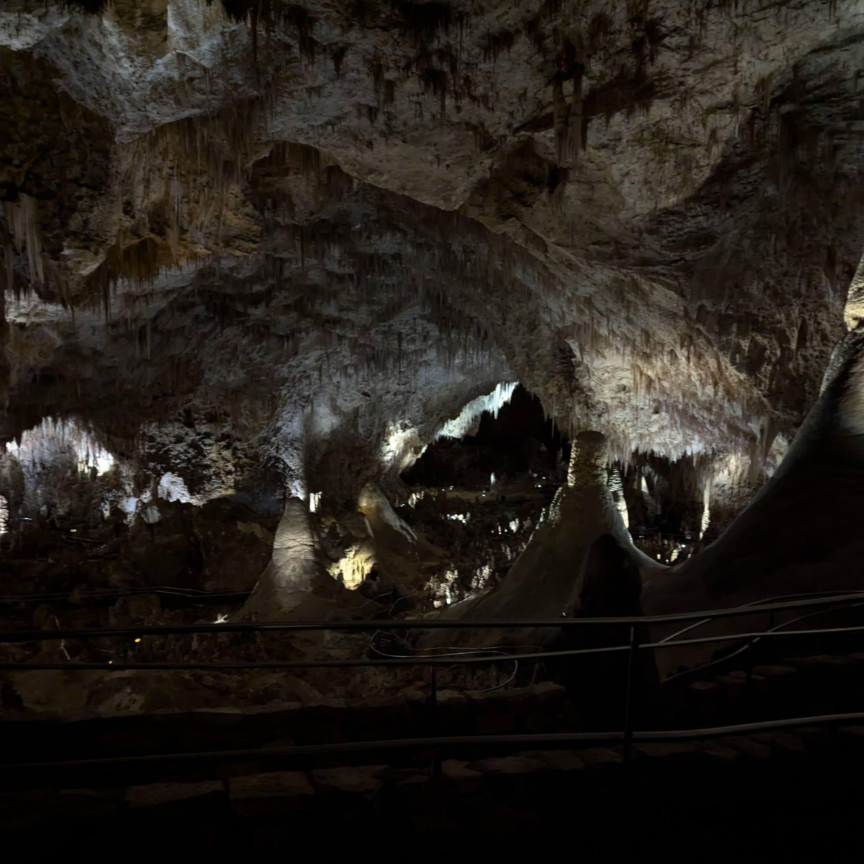 This is simply to document that we went to Carlsbad Caverns. Did we get a picture of us? Somehow yes. Is it kinda creepy because the lighting in a cave is obviously horrible? Also yes.