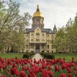 University of Notre Dame