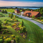 Anyela's Vineyards