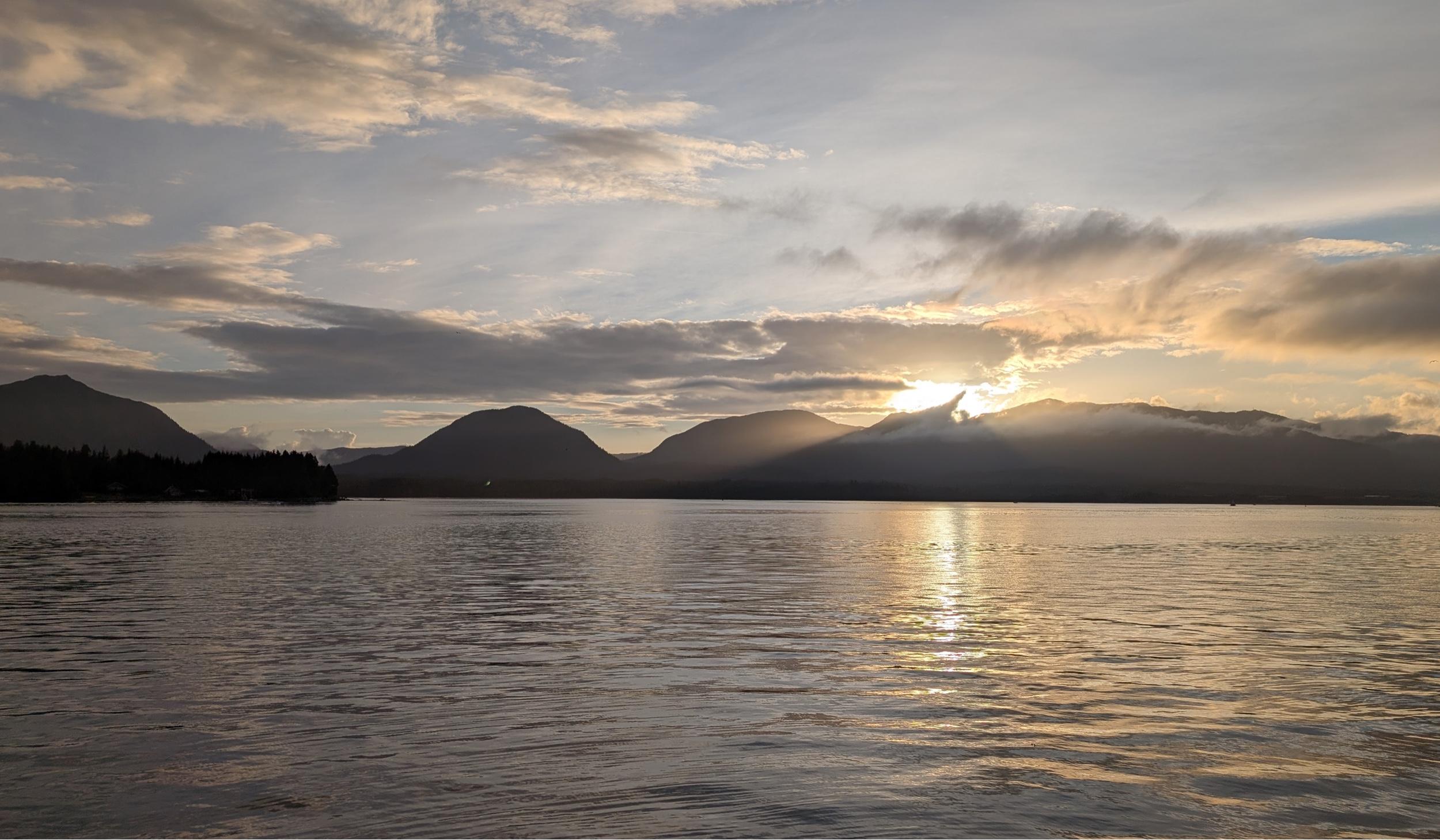 cf3956cf-9104-4671-87bd-66a12e7c1910