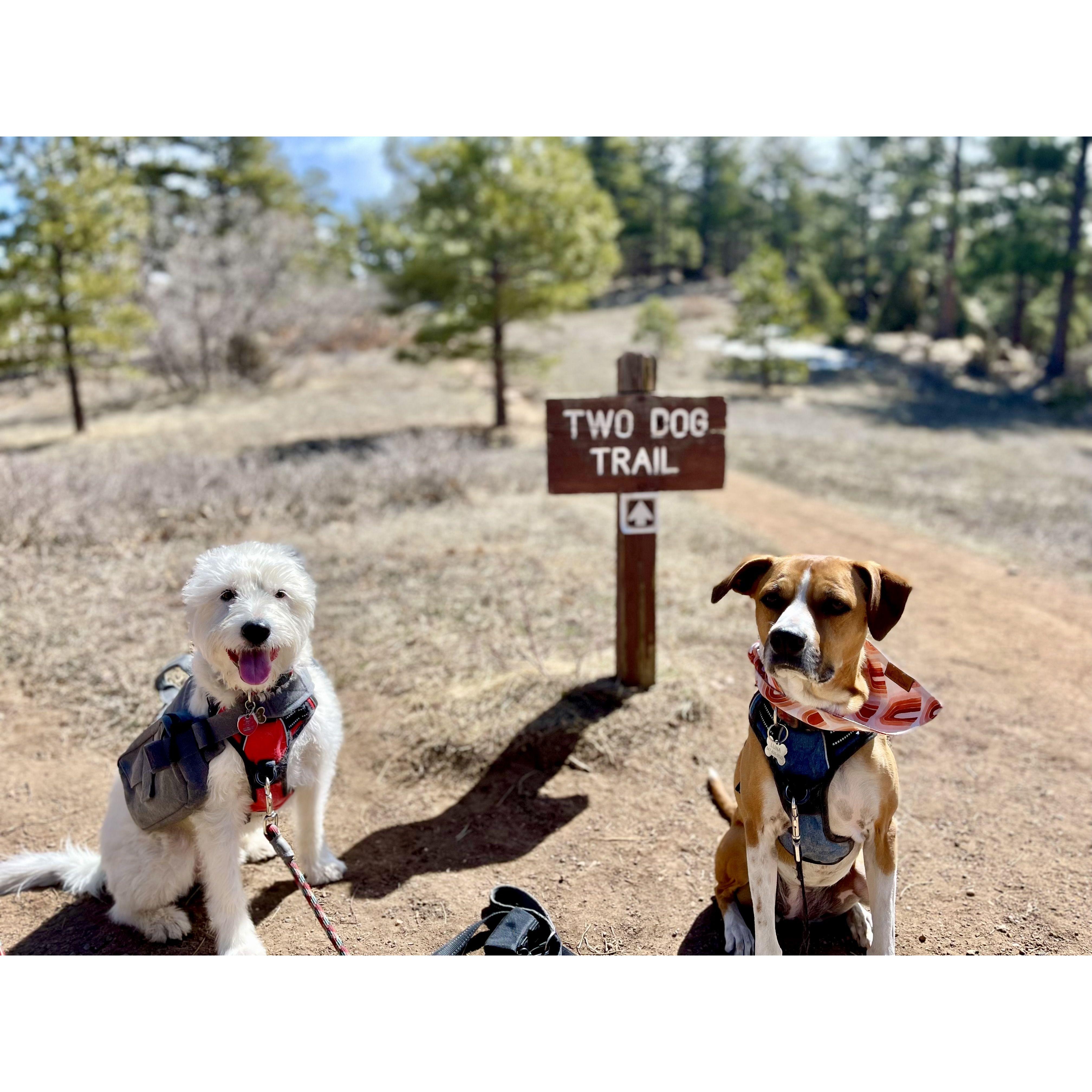 Renly & Luna on the Two Dog Trail - Colorado