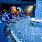 North Carolina Aquarium at Pine Knoll Shores