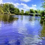 Riverview Trail