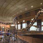 Cincinnati Museum Center