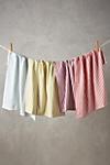 Baker Stripe Dish Towel Set