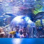 Butterfly House & Aquarium