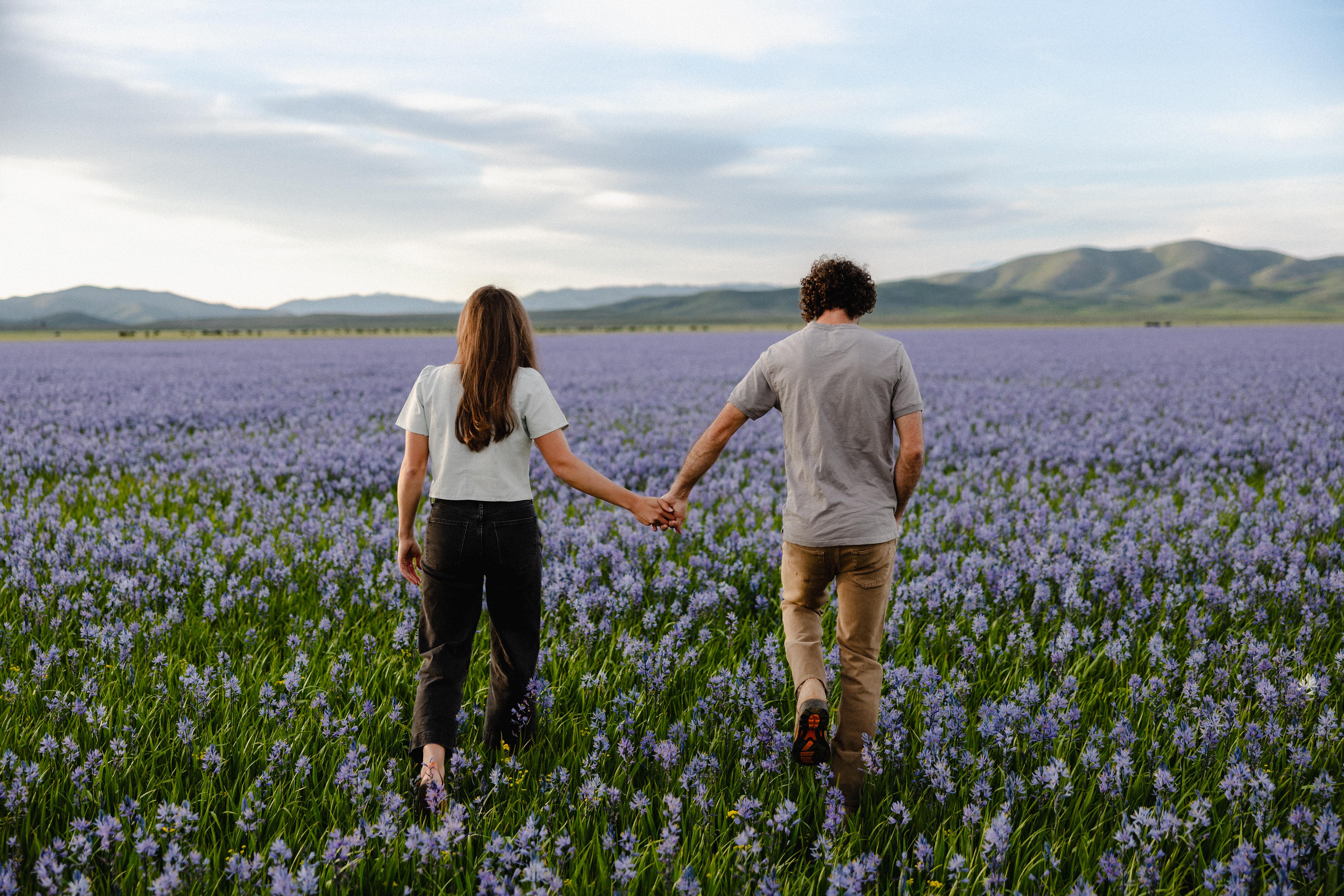 The Wedding Website of Amy Van Beek and Barak Watson
