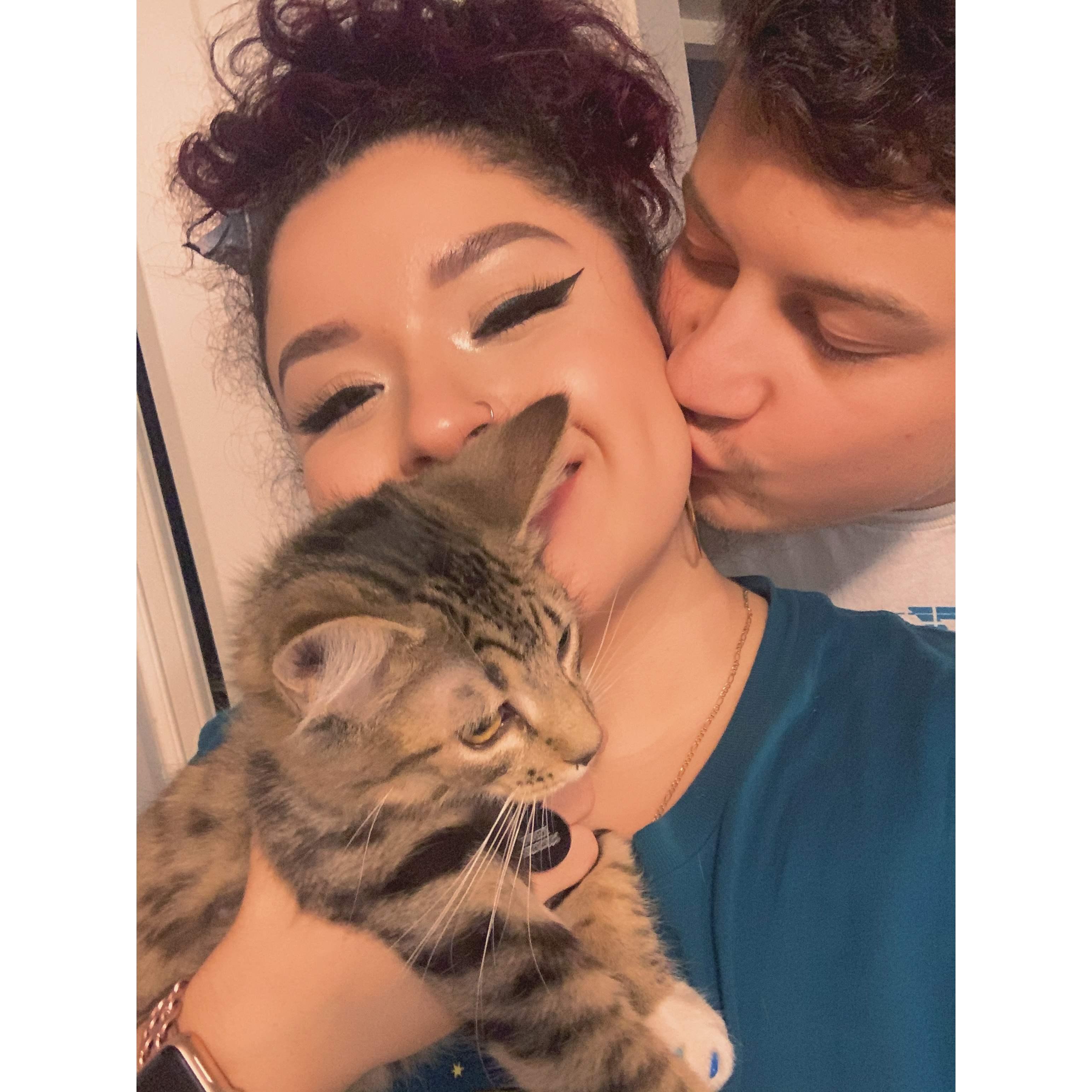 when we adopted our kitties!
