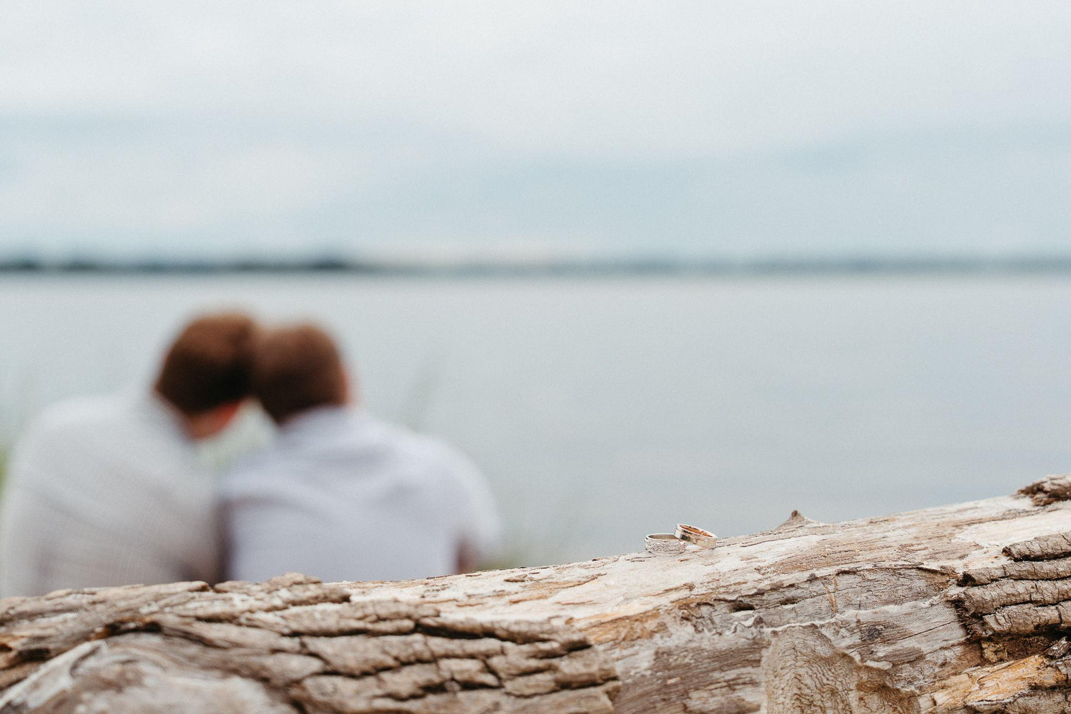 The Wedding Website of Patrick Northem and Alec Higgins