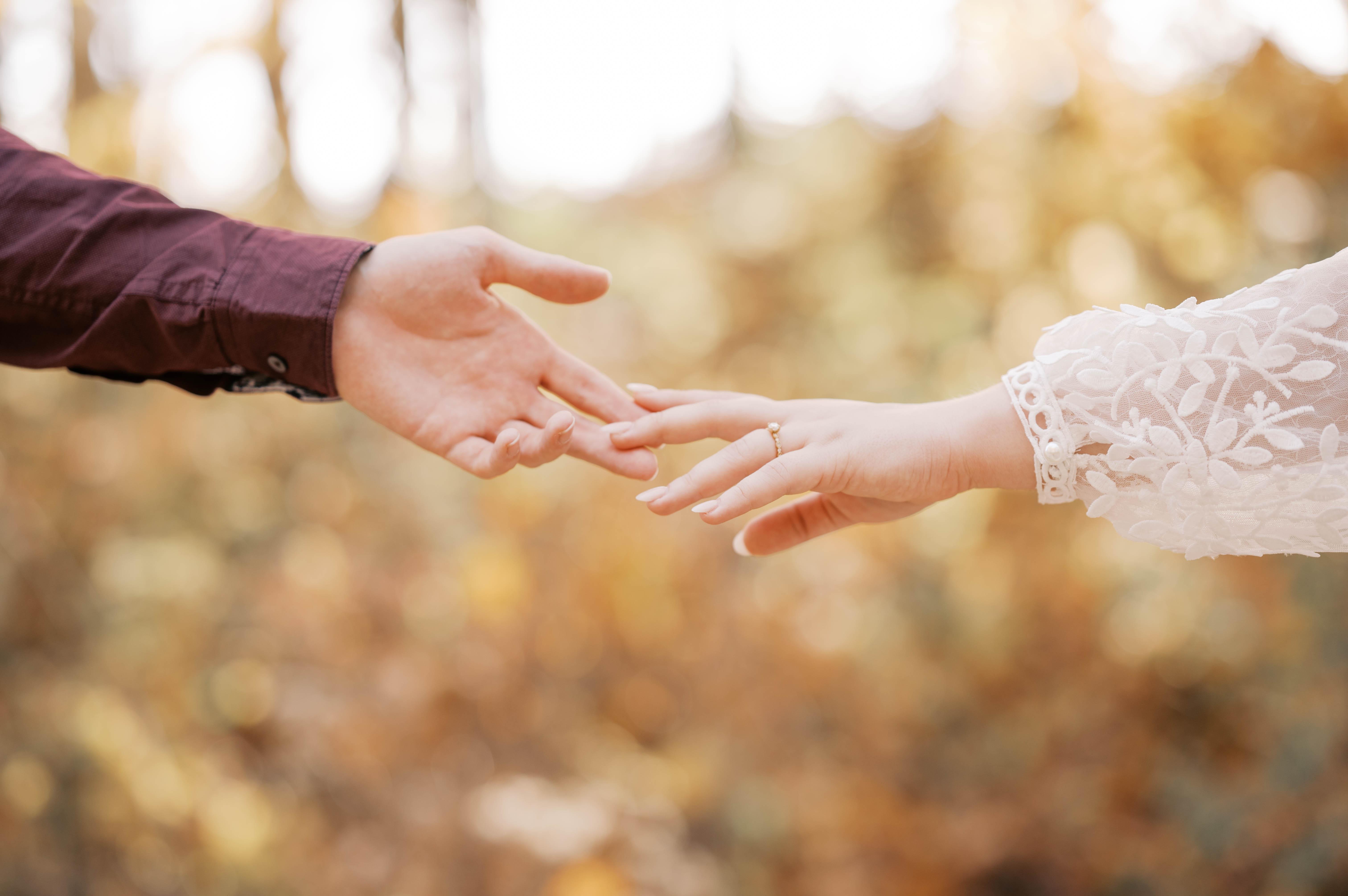 The Wedding Website of Jaden Sweeney and David Cullen