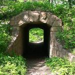 Stone State Park Drive
