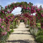 Planting Fields Arboretum State Historic Park