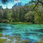Wakulla Springs State Park