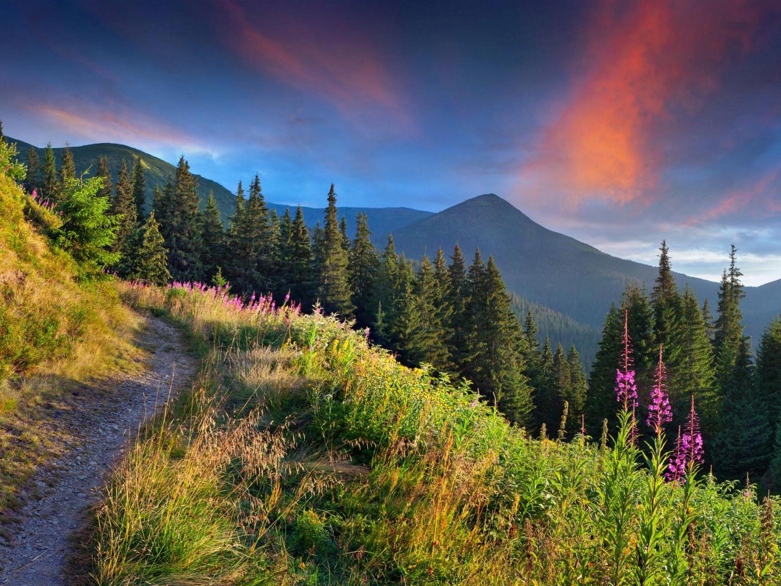 The Wedding Website of Jordan (JJ) Kfoury and Brian Hergt