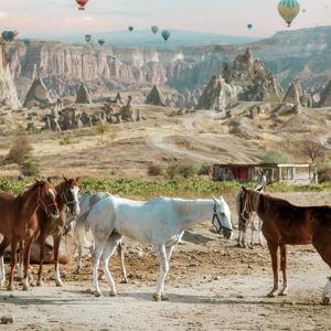 Horseback Riding in Cappadocia