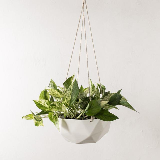 Geometric Hanging Planter
