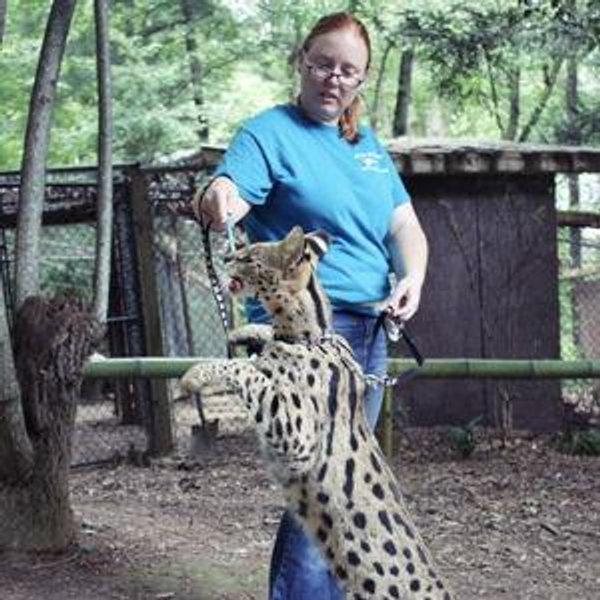 North Georgia Zoo: Feline Experience
