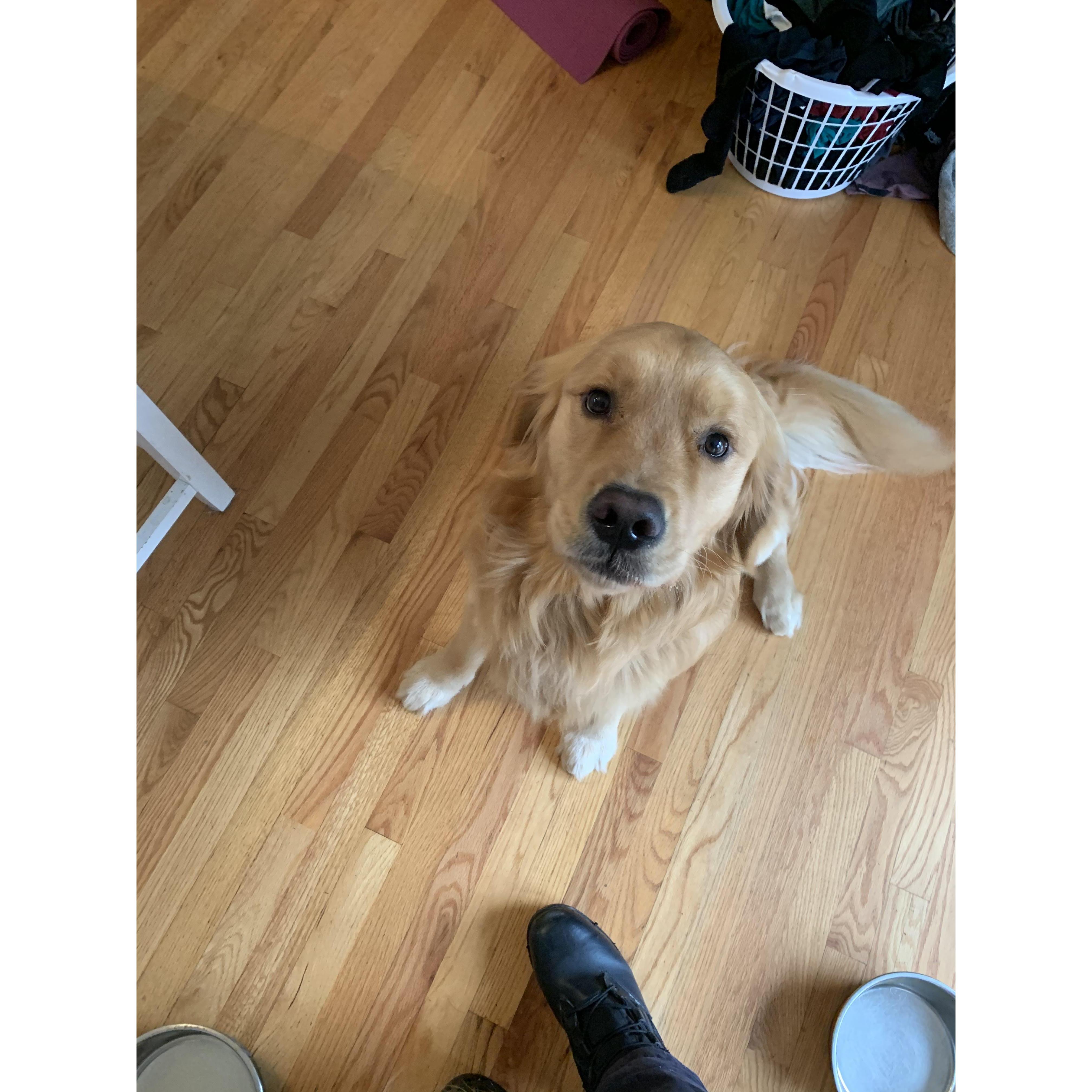 Our little trouble maker