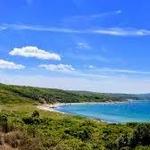 Cedar Tree Neck Trail