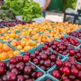 Downtown Bloomington Farmers' Market
