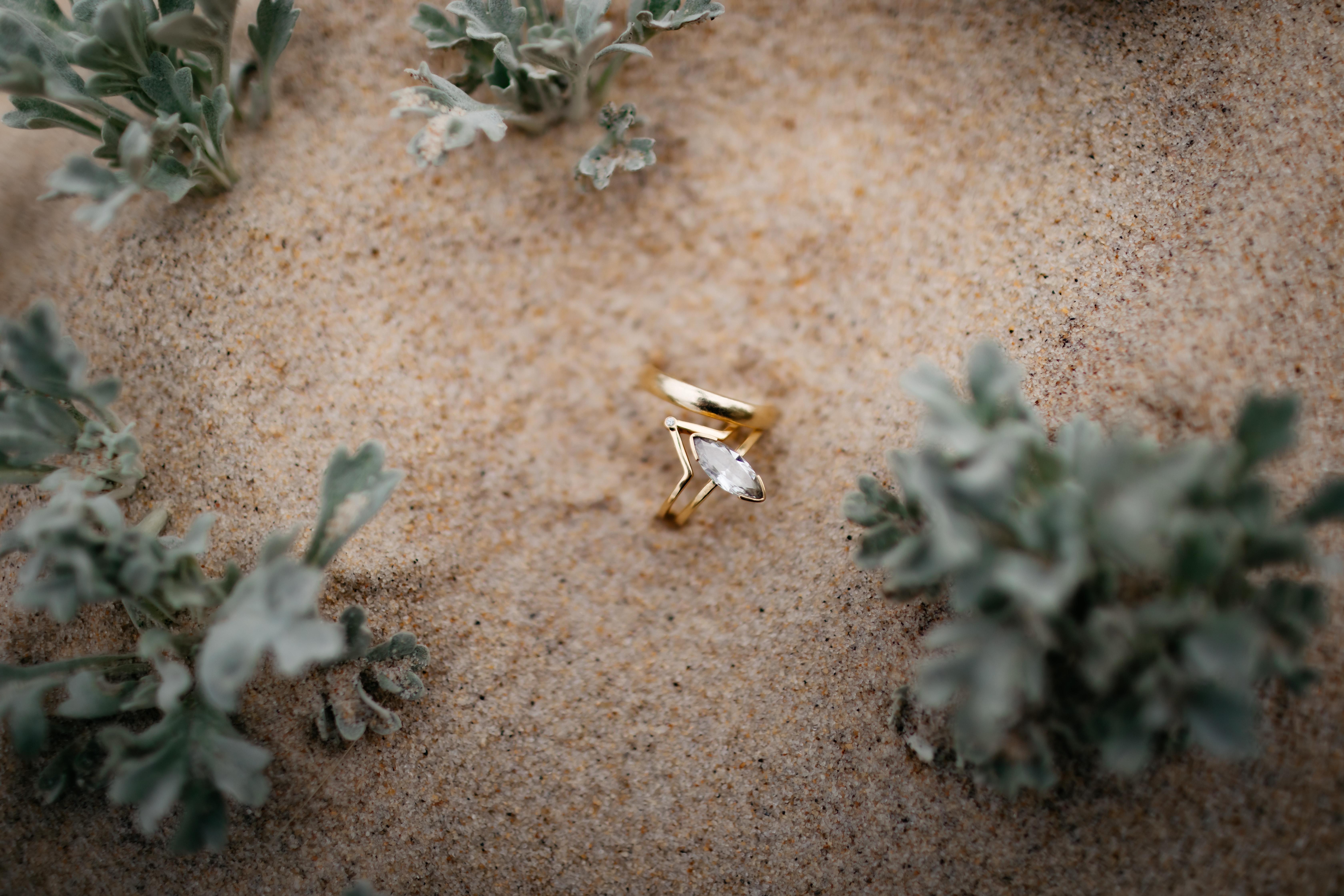The Wedding Website of Sash Bischoff and Ben Borton