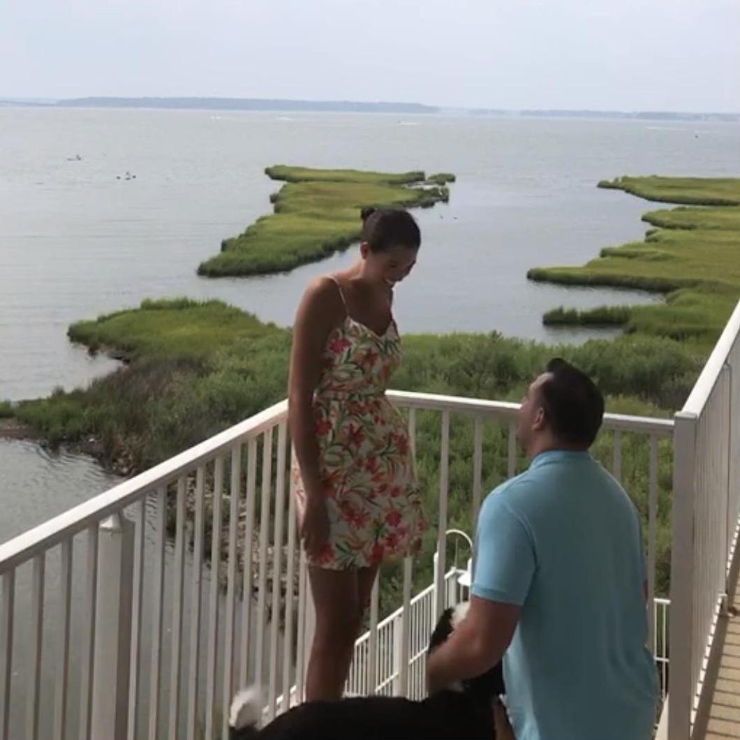 The proposal