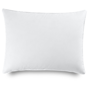 Four Seasons Down & Feather Pillow
