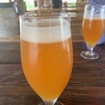 Jester King -- Brewery, Kitchen, Farm & Event Hall