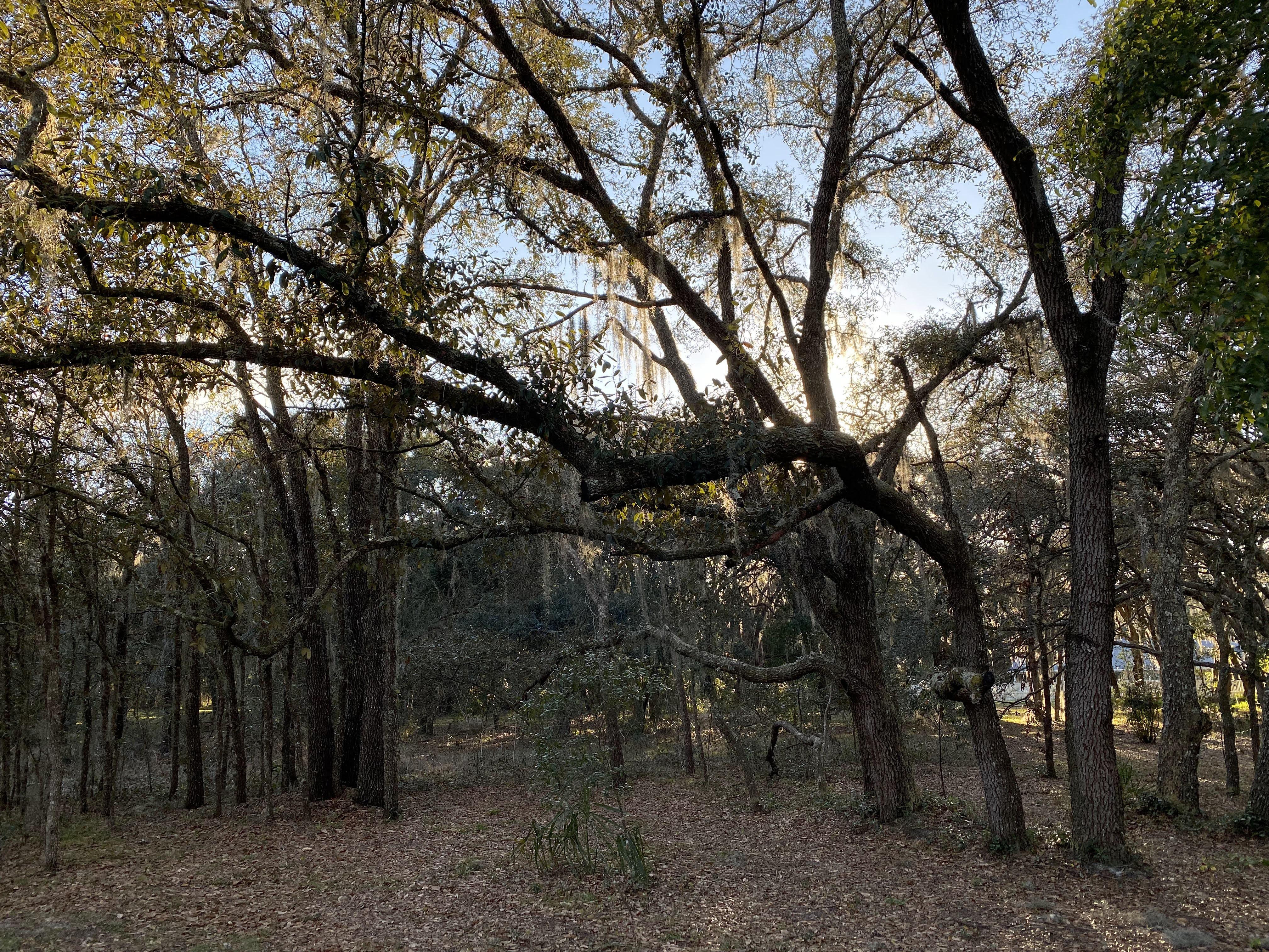 The Wedding Website of Christoph Seeliger and Natalie Rizzo