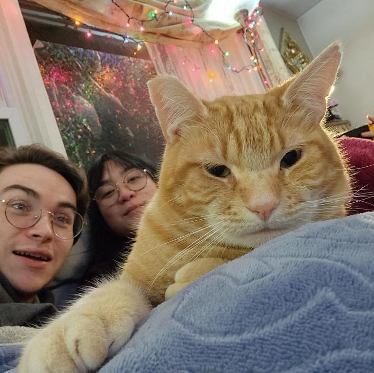 Onion (the cat)