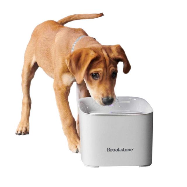 Brookstone® Pet Water Fountain in Natural