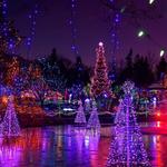 VanDusen Botanical Garden