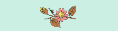 The Wedding Website of Valerie Rafferty and Nick Lau