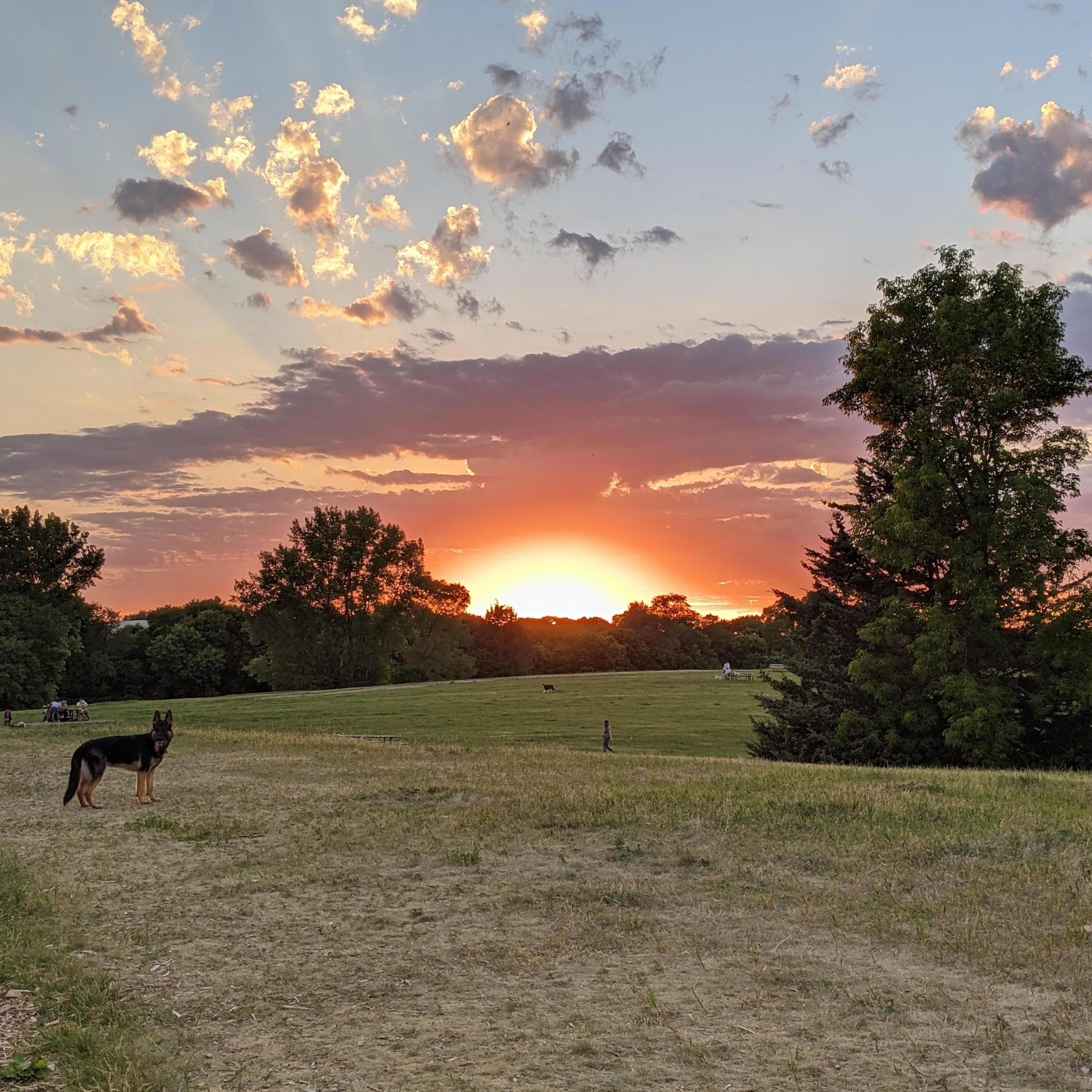 A beautiful sunset with our dog at the park :)