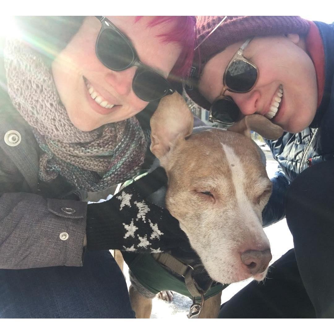 Rebecca was lucky enough to get to know and love Petie, Charlotte's dog. He passed March of 2019.