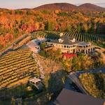 Wolf Mountain Vineyards