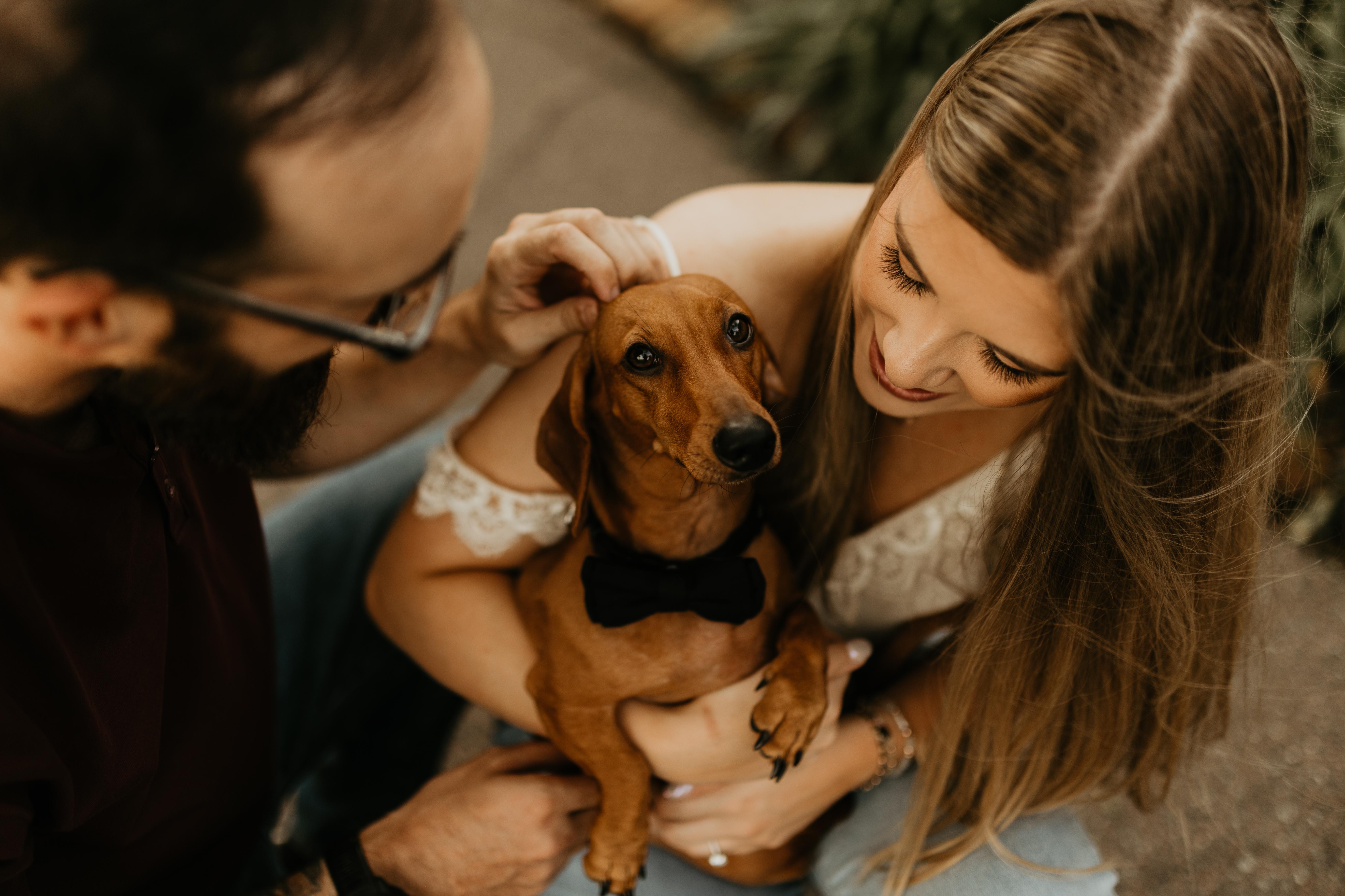 The Wedding Website of Ashton Knowles and Scott Authement