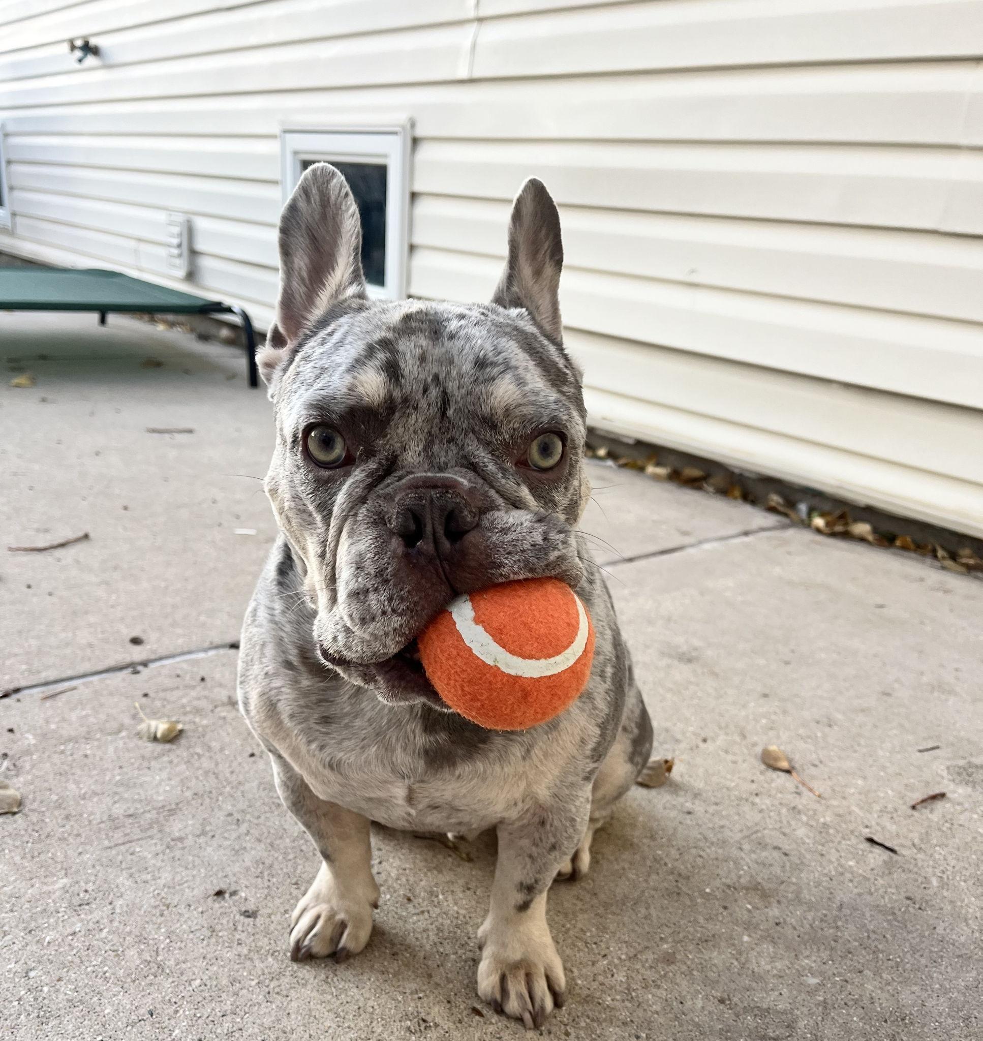 The Wedding Website of Ashley Perk and Nick Bonanno