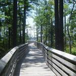 Tarkiln Bayou Preserve State Park