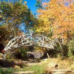 Prince William Forest Park