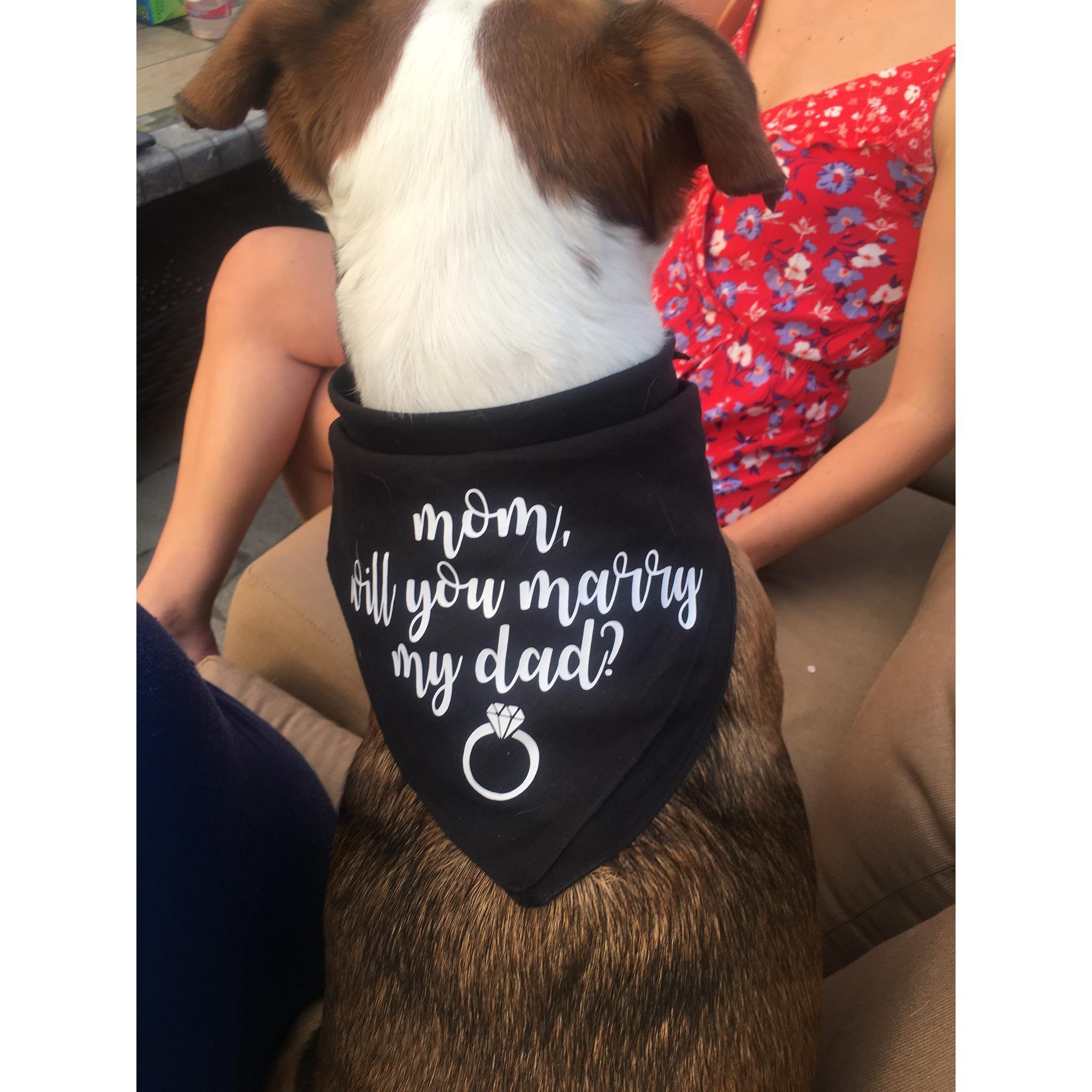Of course Kobi had to be involved in the proposal.