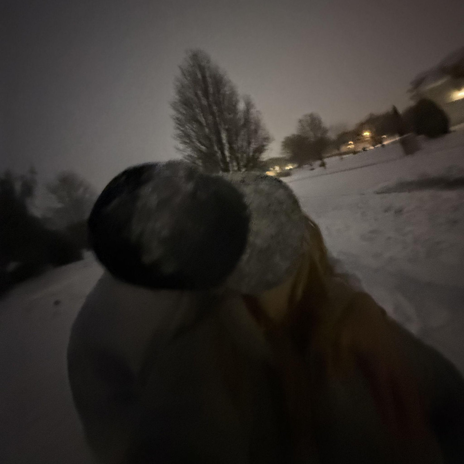 our first photo and snow together