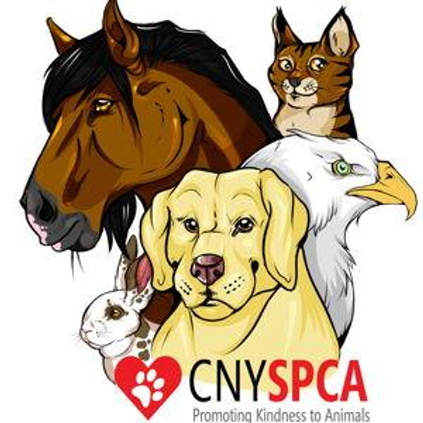 CNY SPCA Charitable Donation Fund
