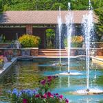 Clark Gardens Botanical Park