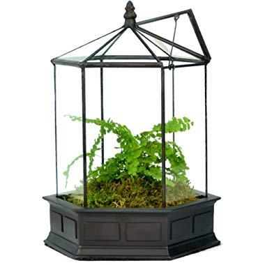 H Potter Glass Terrarium Succulent Planter Wardian Case Plant Container Six Sided WAR151