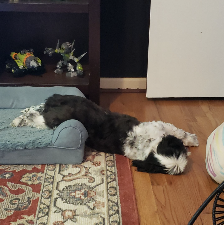 Cooper has been a big help with wedding planning . . .