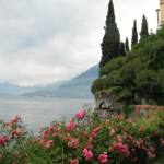 The Botanical Garden at Villa Cipressi