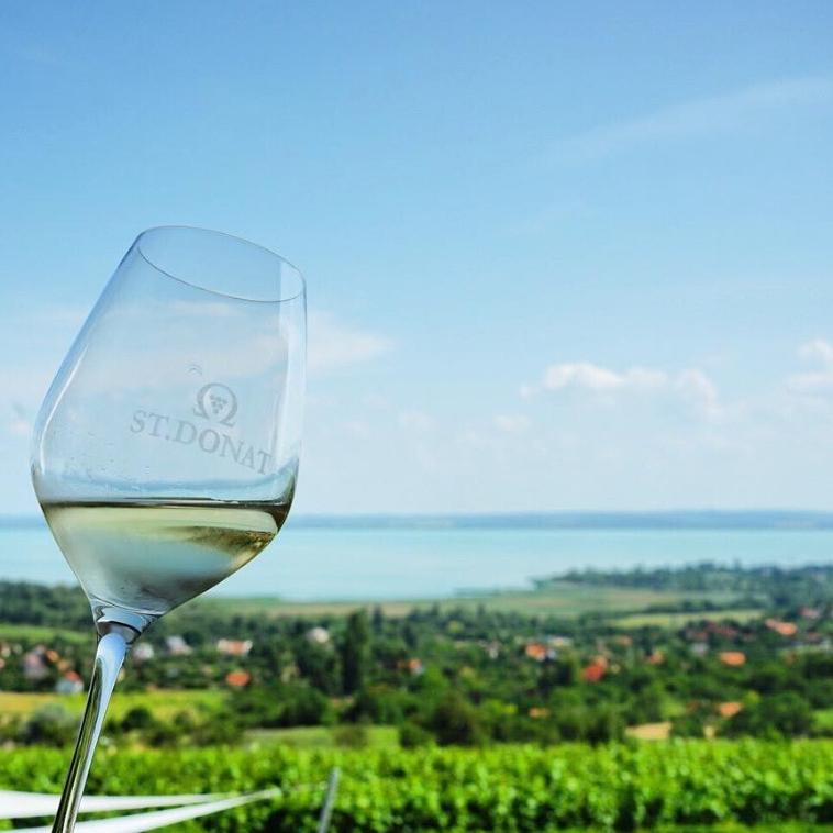 Dinner & Wine Tasting by Lake Balaton